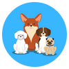 Animais